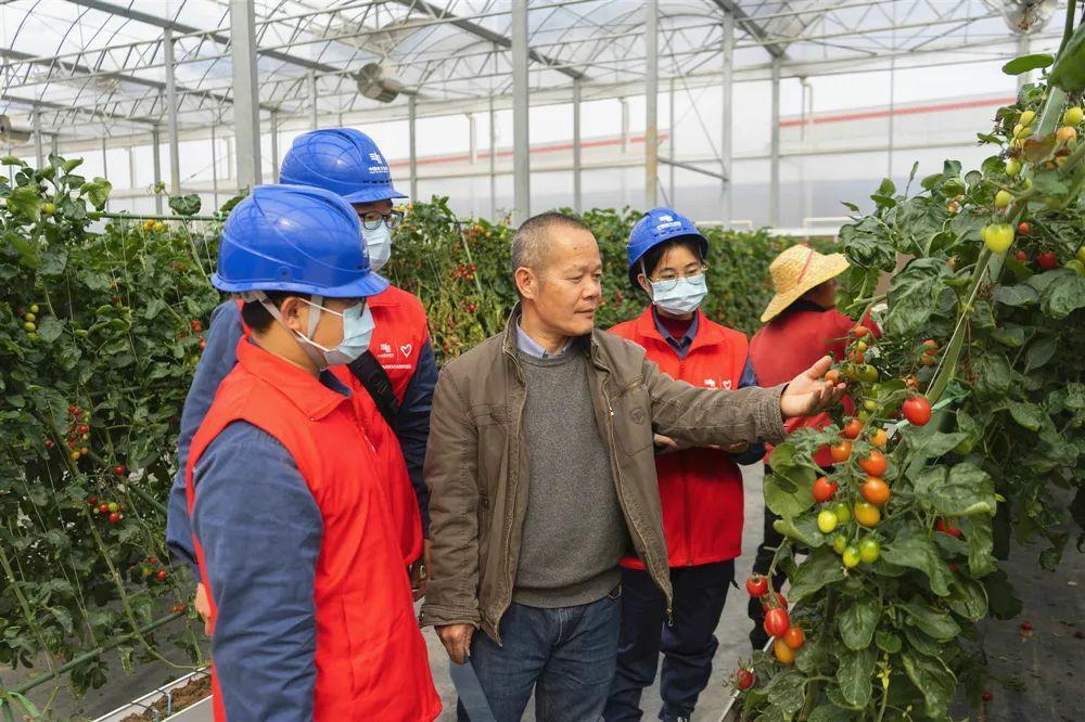 广东电力建设有限公司，引领电力行业的先锋力量