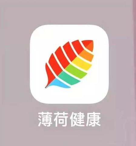 广东瘦身有限公司，引领健康瘦身新潮流