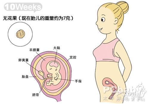 胎儿后两个月的生长速度与体重增长，深度解析