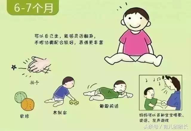 双胎六个月肚子的大小，探索与理解