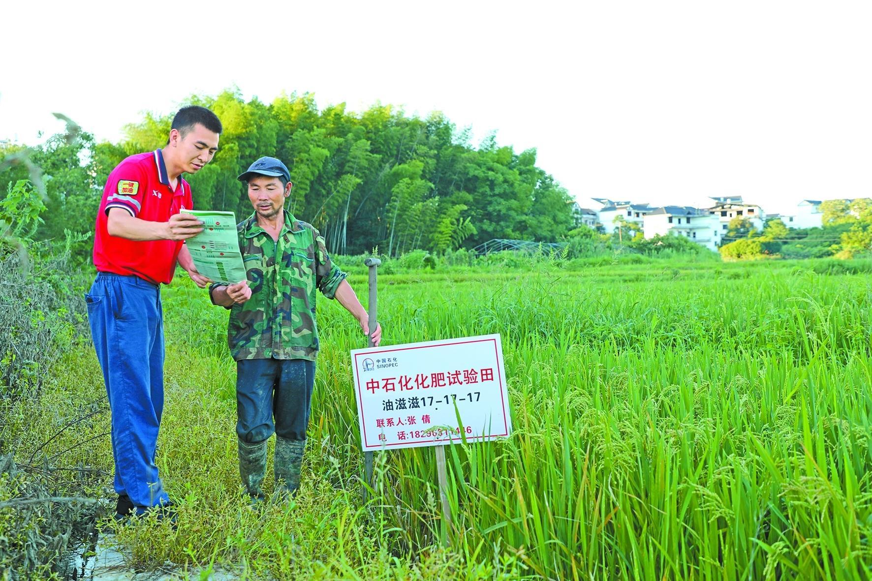 广东省土壤肥料总站，守护农田的绿色先锋