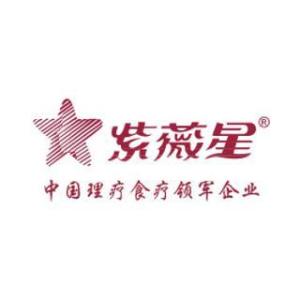 广东晟鑫有限公司，探索卓越，共创辉煌