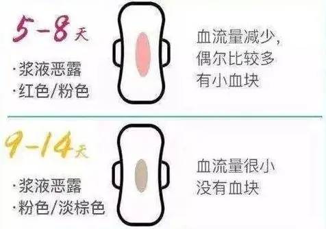 药流后两个月恶露不尽的困扰与解决之道