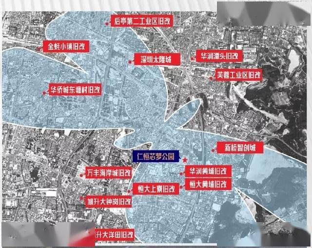 广东省清远市贝冰窝案深度解析